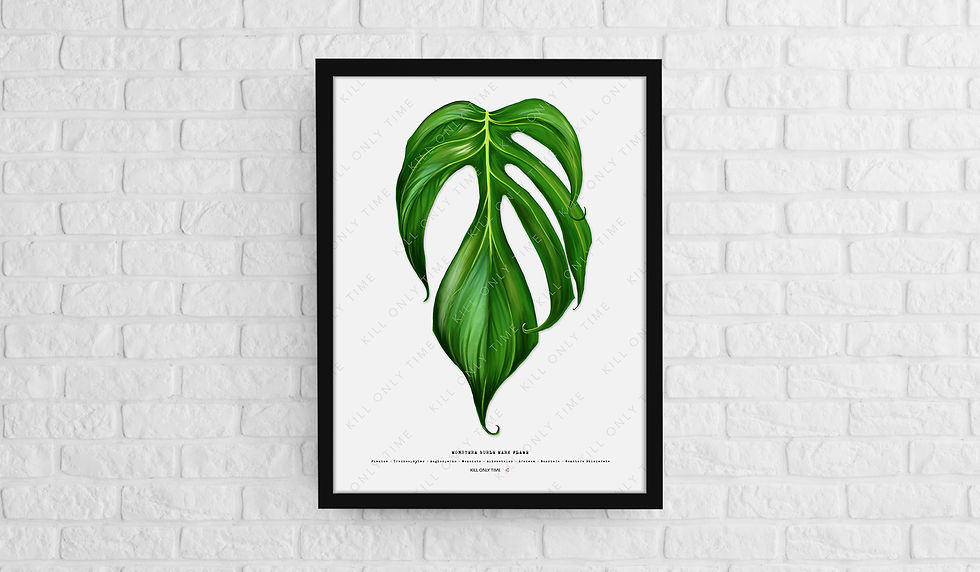 Thumbnail: Monstera Burle Marx Flame Art Print