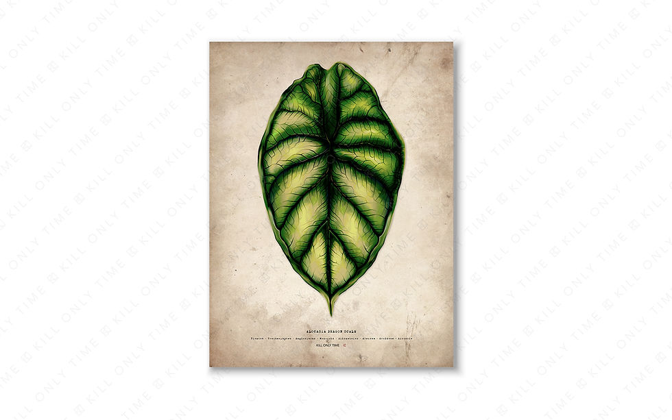 Thumbnail: Alocasia Dragon Scale Art Print