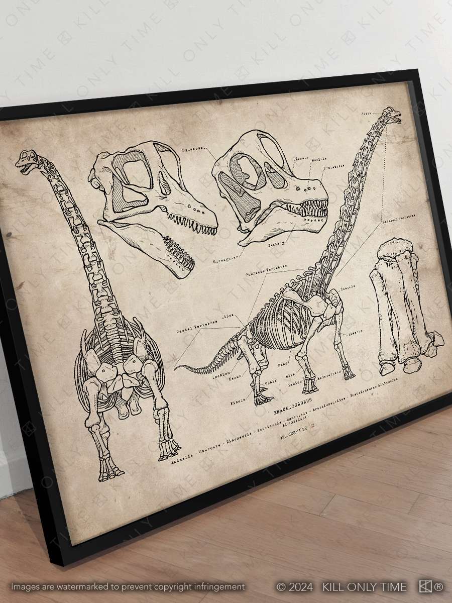 Thumbnail: Brachiosaurus Skeleton Art Print