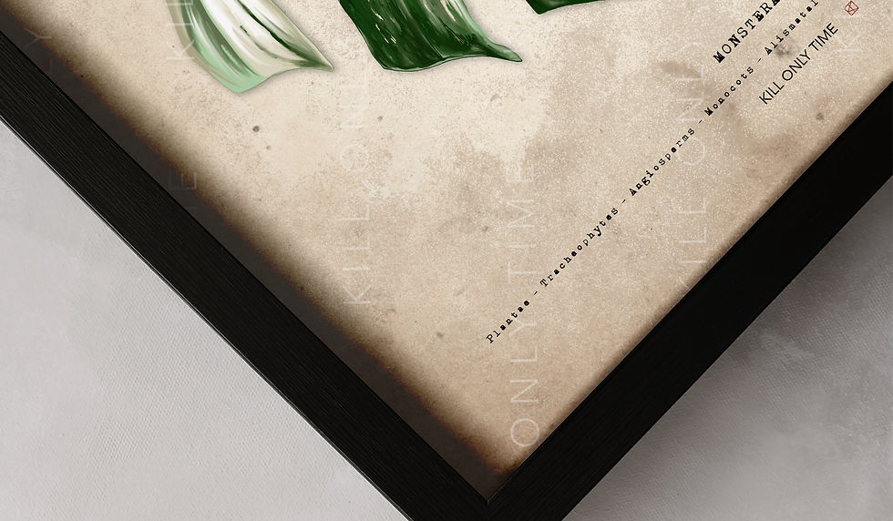 Thumbnail: Monstera Albo Art Print