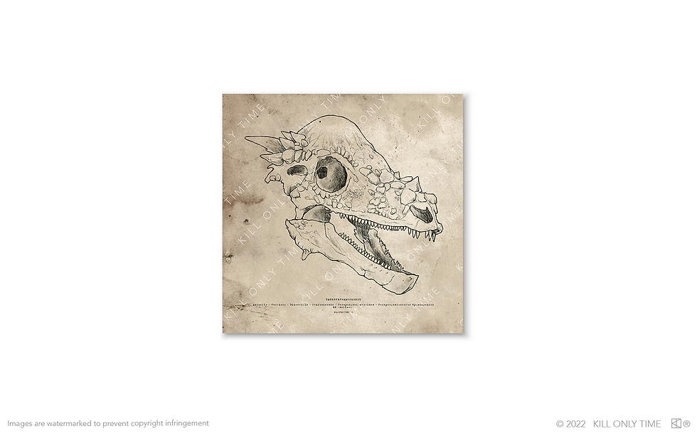 Thumbnail: Pachycephalosaurus Skull Art Print