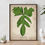 Thumbnail: Philodendron Pedatum Art Print