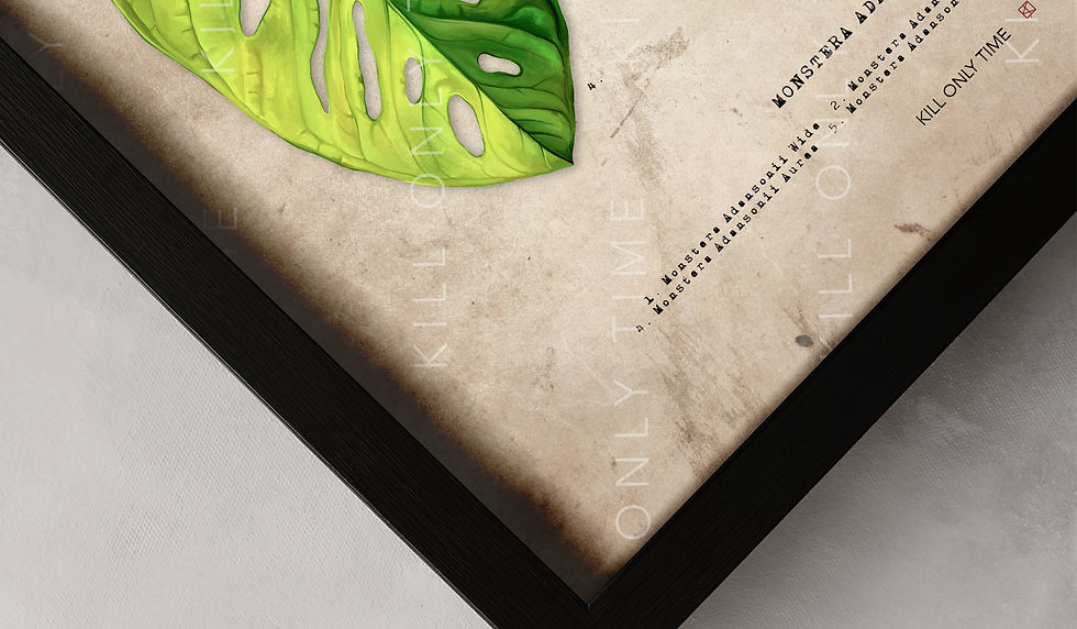 Thumbnail: Monstera Adansonii Species Art Print