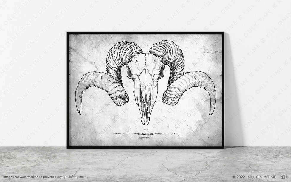 Thumbnail: Ram Skull Art Print