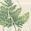 Thumbnail: Fern Blockprint T-Shirt