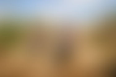 Is Offroading Expensive? Exploring the Costs of Adventure Motorcycle Riding