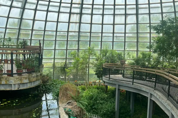 嘉大昆蟲館室內，館內充滿綠植和小水池