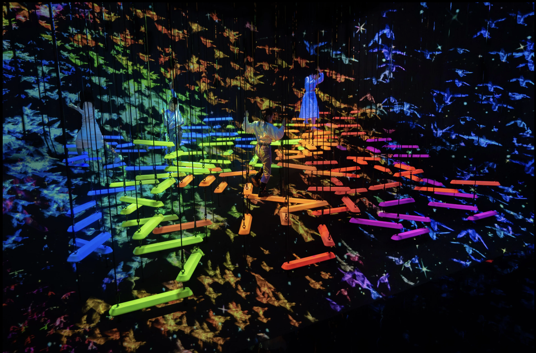 東京豐洲 teamLab Planets TOKYO內部以七彩光影設計出特色展區