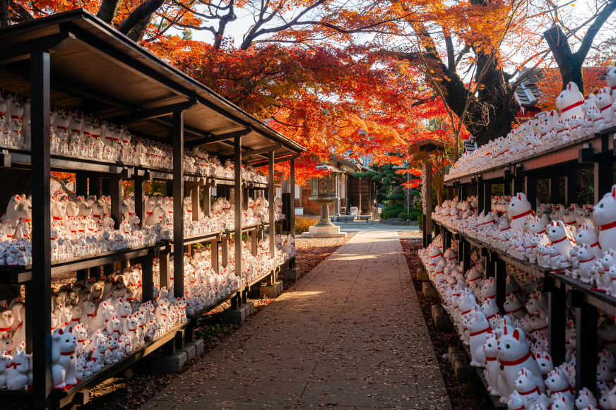 秋日神社小徑兩側擺滿成排招財貓像，白色貓咪戴紅鈴鐺，紅葉拱頂下通向遠處石燈籠，氛圍寧靜溫暖