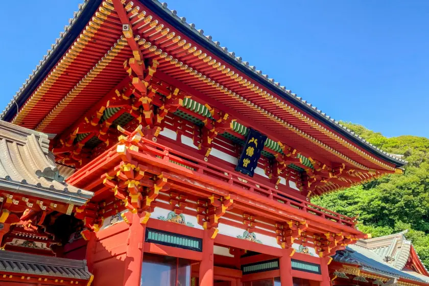 「鶴岡八幡宮」朱紅色的神社建築全景