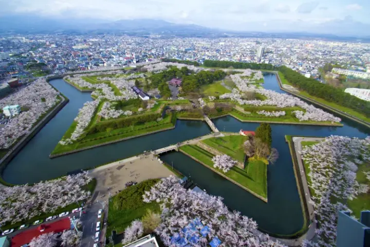  俯瞰函館「五稜郭公園」被 1500 棵櫻花樹圍繞，形成粉紅星形城郭
