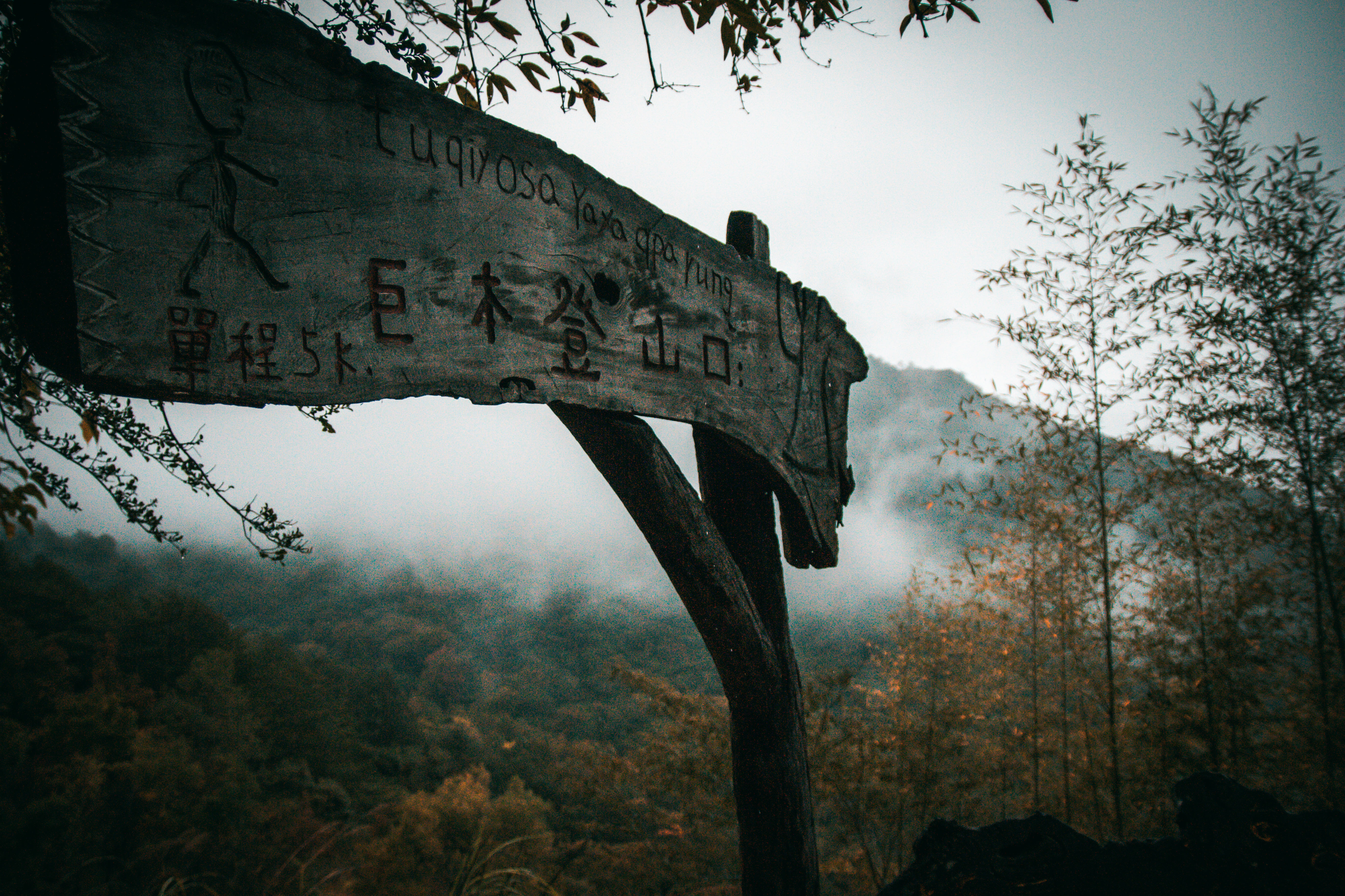 木牌寫著巨木登山口
