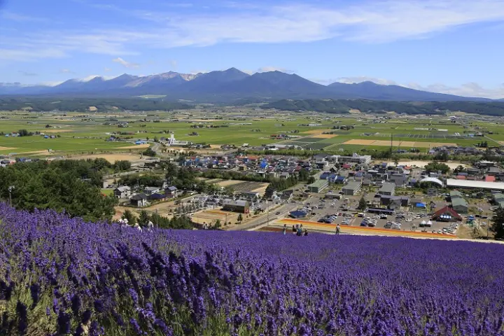紫色薰衣草花海鋪滿前景，遠處是村鎮、農田與群山，藍天白雲下的遼闊鄉村風景寧靜開闊