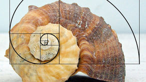 The Golden Ratio