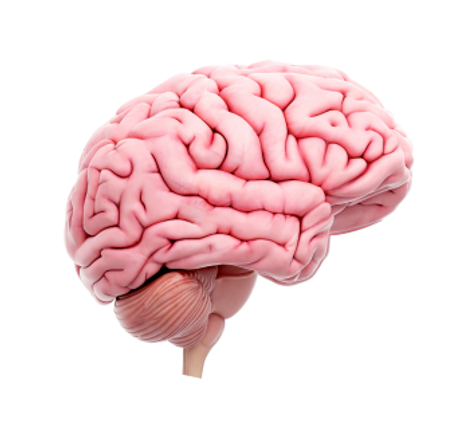 PNG - 2022-11-01T184735 1.png