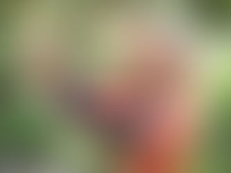 斗笠下的生活哲學——邱華振