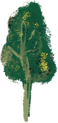 小樹3.png