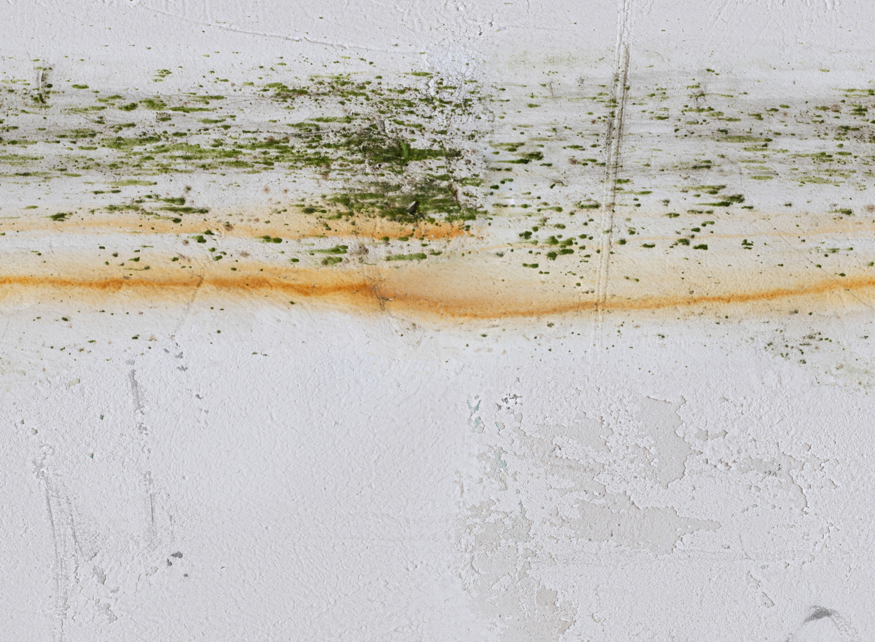 Mold-speckled white wall with orange rust streaks and peeling paint, showing a worn, weathered surface.