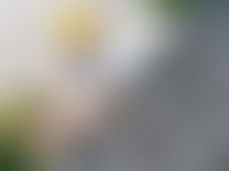 Man in hard hat and overalls smiles while holding a gutter on a roof. Paved ground and greenery in the background.