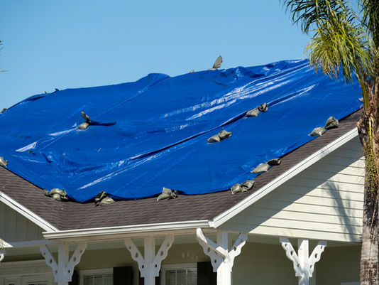 A blue tarp covers a house roof, held down by sandbags, beside a palm tree under a clear sky.