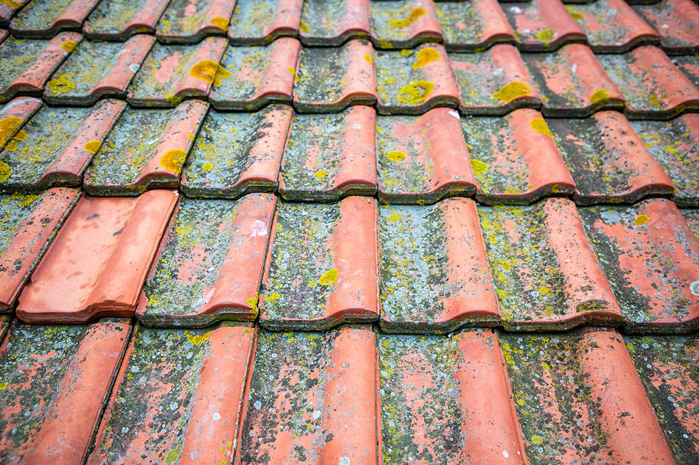 Close-up of weathered red roof tiles covered in yellow-green lichen and dark stains, creating a rough textured pattern.