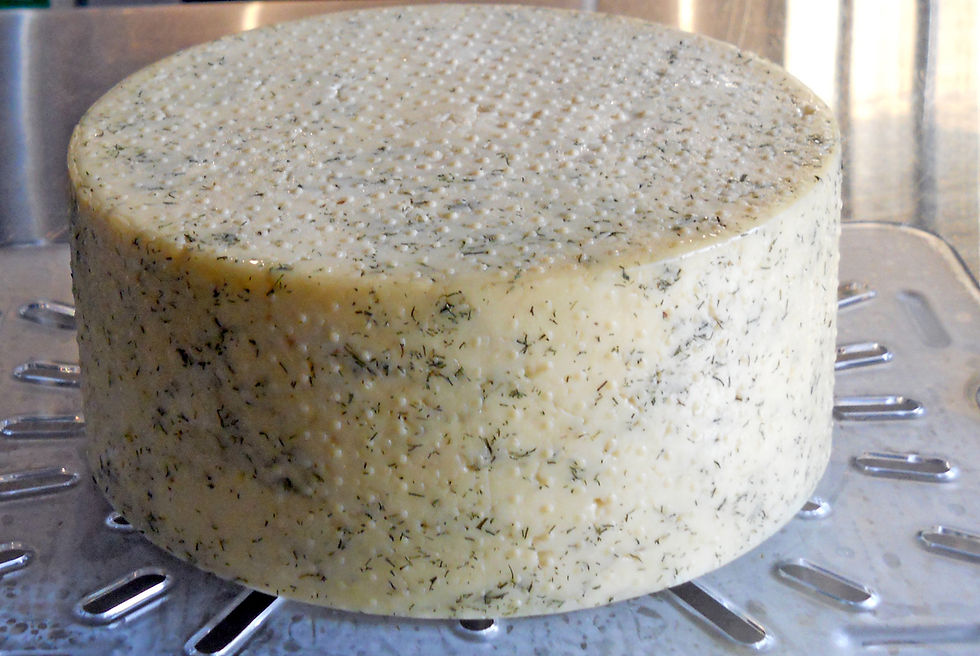 A Wheel of Cheese