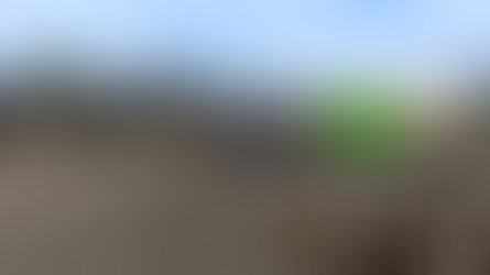 Pierwszy konwój Szefa