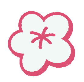 Pink Poppy Flowers