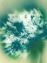 Awe Beneath – dreamlike botanical art print of coral-like branching forms in cool green tones