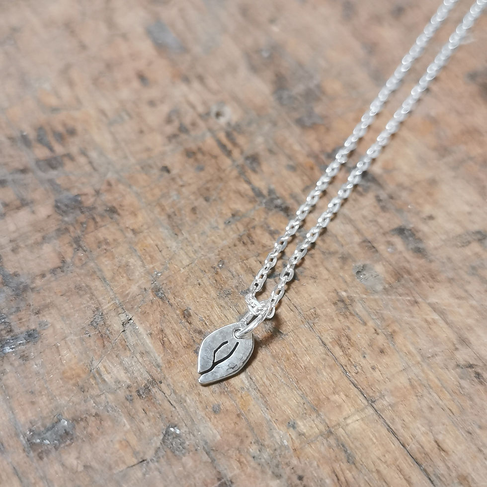 Miniature : Vulva