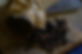 DSC05746.JPG