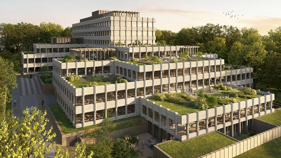 Souverain-100-amenagement-toiture-vertes.jpg