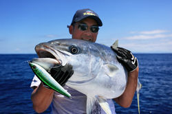Starwalker Kahawai stickbait.JPG