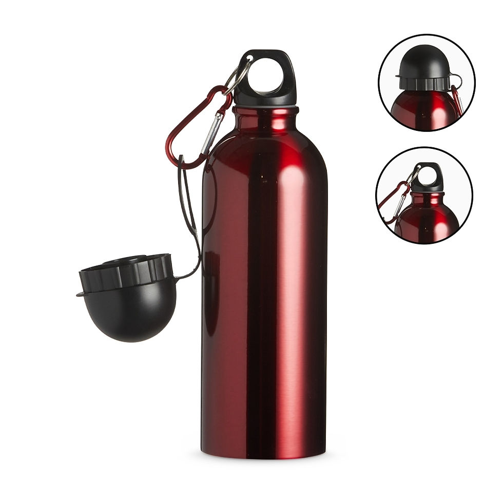 Miniatura: Squeeze Inox 500ml
