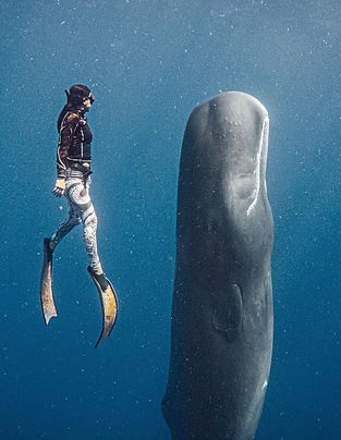 Captura de pantalla 2025-06-19 a las 14.16.22.jpg