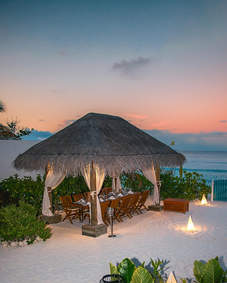 Destination Dining (1).jpeg