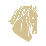 husaren_logotype.png