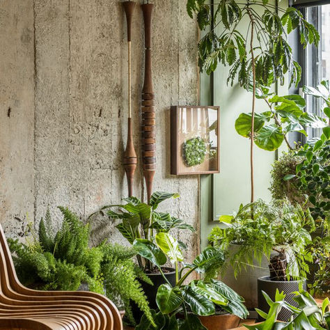 The Art of Zen: Incorporating Japanese Design Principles in Luxury Interiors