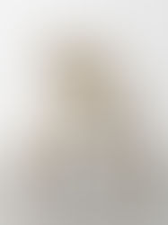 THE ART OF EMPTINESS