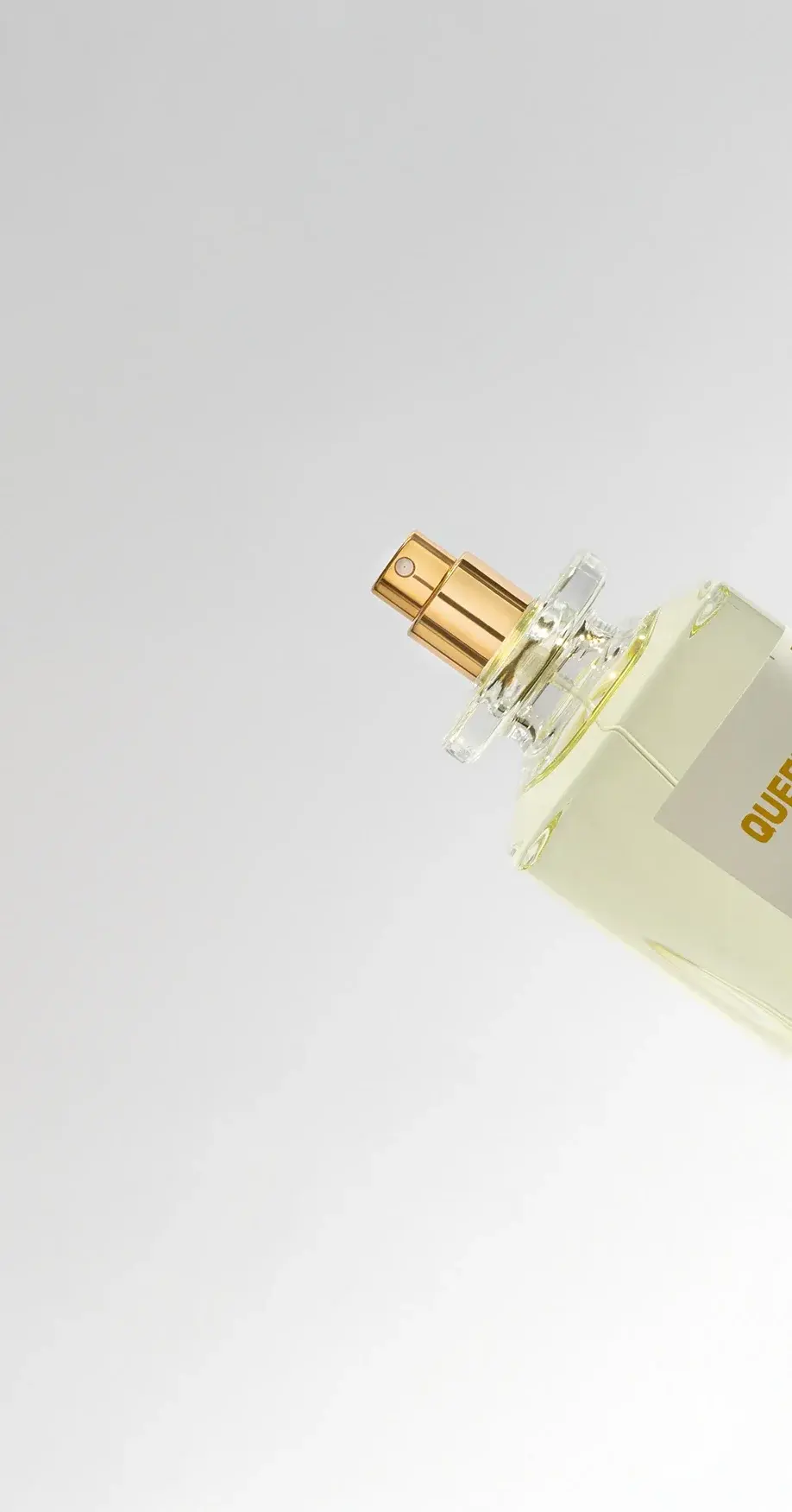 Lavish fragrance collection featuring Jardin, Very Red, and Queen perfumes in 200ml Tango glass bottles with wooden Bossa caps and minimalist labels. Made by Identiscents, Dubai.