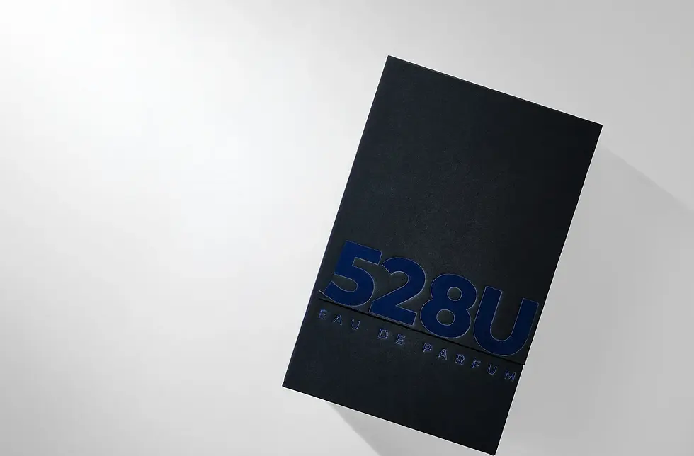 528-PACK.webp