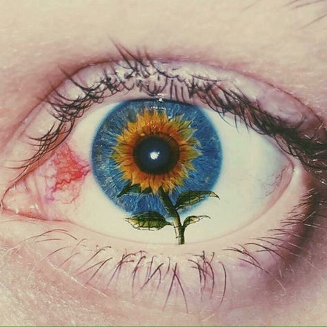 AUTHENTICITY IS ALCHEMY