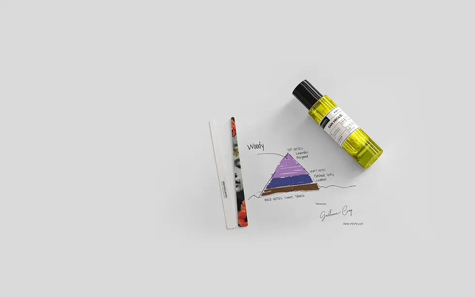 NICHE COLLECTIONS 30.webp