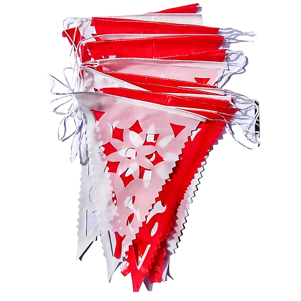 Miniatura: Banderín mexicano Fiesta Temática Bicolor - 8 Mts.