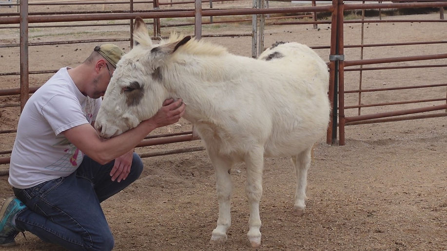 donkey mike bow.jpg