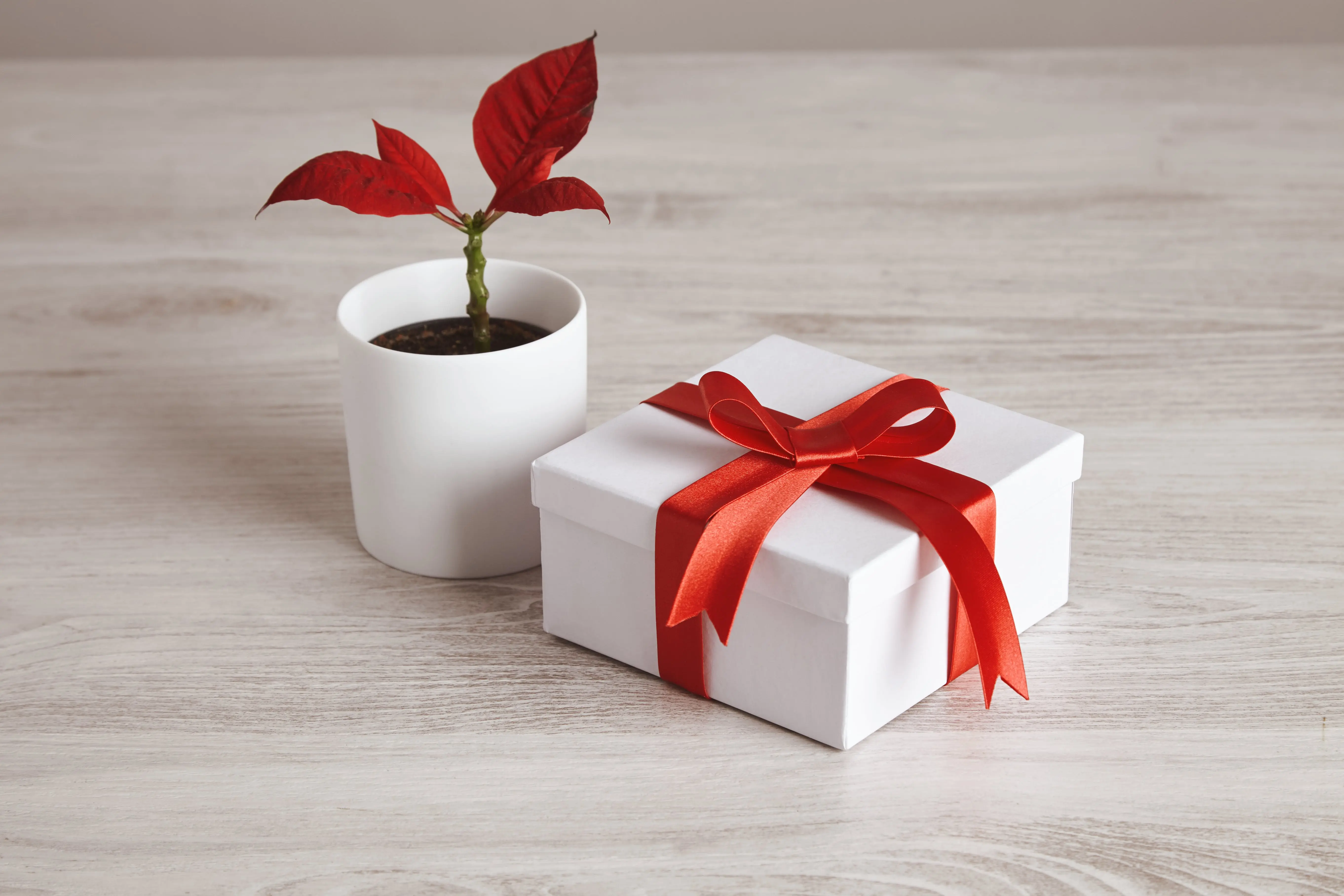 Small boxes for gift.webp