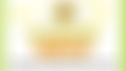 Party Flower Invites YOU to the Wild Bonanza Sale!