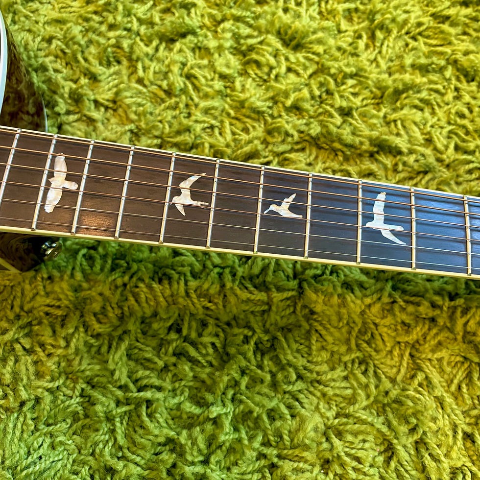 Thumbnail: PRS SE 2013 Angelus Acoustic