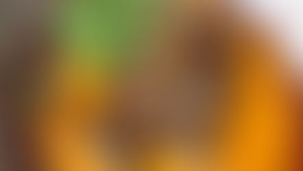 Crispy Duck Breast Recipe