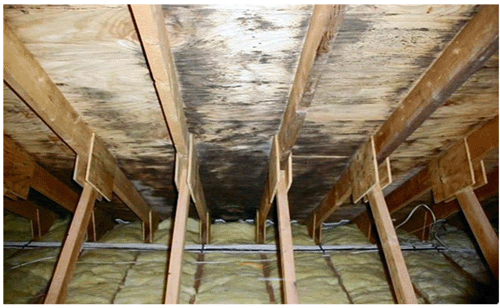 leak-attic- rotting wood.gif